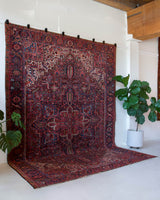 Antique Persian area rug in a living room setting, pile rug, vintage rug, portland, rug shop, bright colors, wild shaman, soft rug, bold color, Portland, Oregon, rug store, rug shop, local shop, antique rug, Persian rug, handmade rug, wool rug