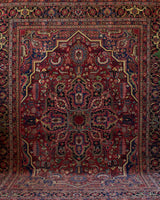 Antique Persian area rug in a living room setting, pile rug, vintage rug, portland, rug shop, bright colors, wild shaman, soft rug, bold color, Portland, Oregon, rug store, rug shop, local shop, antique rug, Persian rug, handmade rug, wool rug