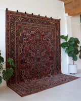 Antique Persian area rug in a living room setting, pile rug, vintage rug, portland, rug shop, bright colors, wild shaman, soft rug, bold color, Portland, Oregon, rug store, rug shop, local shop, antique rug, Persian rug, handmade rug, wool rug