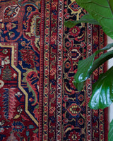 Antique Persian area rug in a living room setting, pile rug, vintage rug, portland, rug shop, bright colors, wild shaman, soft rug, bold color, Portland, Oregon, rug store, rug shop, local shop, antique rug, Persian rug, handmade rug, wool rug