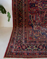 Antique Persian area rug in a living room setting, pile rug, vintage rug, portland, rug shop, bright colors, wild shaman, soft rug, bold color, Portland, Oregon, rug store, rug shop, local shop, antique rug, Persian rug, handmade rug, wool rug