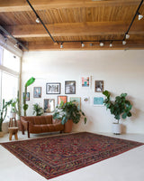 Antique Persian area rug in a living room setting, pile rug, vintage rug, portland, rug shop, bright colors, wild shaman, soft rug, bold color, Portland, Oregon, rug store, rug shop, local shop, antique rug, Persian rug, handmade rug, wool rug