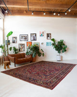 Antique Persian area rug in a living room setting, pile rug, vintage rug, portland, rug shop, bright colors, wild shaman, soft rug, bold color, Portland, Oregon, rug store, rug shop, local shop, antique rug, Persian rug, handmade rug, wool rug