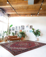 Antique Persian area rug in a living room setting, pile rug, vintage rug, portland, rug shop, bright colors, wild shaman, soft rug, bold color, Portland, Oregon, rug store, rug shop, local shop, antique rug, Persian rug, handmade rug, wool rug