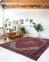 Antique Persian area rug in a living room setting, pile rug, vintage rug, portland, rug shop, bright colors, wild shaman, soft rug, bold color, Portland, Oregon, rug store, rug shop, local shop, antique rug, Persian rug, handmade rug, wool rug