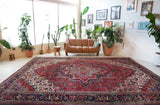 Antique Persian area rug in a living room setting, pile rug, vintage rug, portland, rug shop, bright colors, wild shaman, soft rug, bold color, Portland, Oregon, rug store, rug shop, local shop, antique rug, Persian rug, handmade rug, wool rug