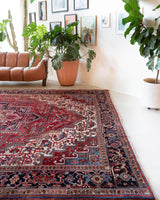 Antique Persian area rug in a living room setting, pile rug, vintage rug, portland, rug shop, bright colors, wild shaman, soft rug, bold color, Portland, Oregon, rug store, rug shop, local shop, antique rug, Persian rug, handmade rug, wool rug
