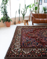 Antique Persian area rug in a living room setting, pile rug, vintage rug, portland, rug shop, bright colors, wild shaman, soft rug, bold color, Portland, Oregon, rug store, rug shop, local shop, antique rug, Persian rug, handmade rug, wool rug