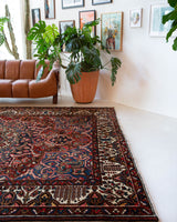 Antique Persian area rug in a living room setting, pile rug, vintage rug, portland, rug shop, bright colors, wild shaman, soft rug, bold color, Portland, Oregon, rug store, rug shop, local shop, antique rug, Persian rug, handmade rug, wool rug