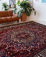 Antique Persian area rug in a living room setting, pile rug, vintage rug, portland, rug shop, bright colors, wild shaman, soft rug, bold color, Portland, Oregon, rug store, rug shop, local shop, antique rug, Persian rug, handmade rug, wool rug