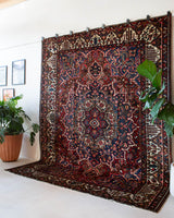 Antique Persian area rug in a living room setting, pile rug, vintage rug, portland, rug shop, bright colors, wild shaman, soft rug, bold color, Portland, Oregon, rug store, rug shop, local shop, antique rug, Persian rug, handmade rug, wool rug