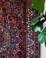 Antique Persian area rug in a living room setting, pile rug, vintage rug, portland, rug shop, bright colors, wild shaman, soft rug, bold color, Portland, Oregon, rug store, rug shop, local shop, antique rug, Persian rug, handmade rug, wool rug