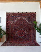 Antique Persian area rug in a living room setting, pile rug, vintage rug, portland, rug shop, bright colors, wild shaman, soft rug, bold color, Portland, Oregon, rug store, rug shop, local shop, antique rug, Persian rug, handmade rug, wool rug