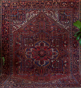 Antique Persian area rug in a living room setting, pile rug, vintage rug, portland, rug shop, bright colors, wild shaman, soft rug, bold color, Portland, Oregon, rug store, rug shop, local shop, antique rug, Persian rug, handmade rug, wool rug