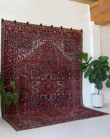 Antique Persian area rug in a living room setting, pile rug, vintage rug, portland, rug shop, bright colors, wild shaman, soft rug, bold color, Portland, Oregon, rug store, rug shop, local shop, antique rug, Persian rug, handmade rug, wool rug