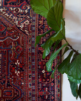 Antique Persian area rug in a living room setting, pile rug, vintage rug, portland, rug shop, bright colors, wild shaman, soft rug, bold color, Portland, Oregon, rug store, rug shop, local shop, antique rug, Persian rug, handmade rug, wool rug