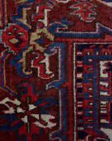 Antique Persian area rug in a living room setting, pile rug, vintage rug, portland, rug shop, bright colors, wild shaman, soft rug, bold color, Portland, Oregon, rug store, rug shop, local shop, antique rug, Persian rug, handmade rug, wool rug