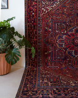 Antique Persian area rug in a living room setting, pile rug, vintage rug, portland, rug shop, bright colors, wild shaman, soft rug, bold color, Portland, Oregon, rug store, rug shop, local shop, antique rug, Persian rug, handmade rug, wool rug