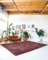 Antique Persian area rug in a living room setting, pile rug, vintage rug, portland, rug shop, bright colors, wild shaman, soft rug, bold color, Portland, Oregon, rug store, rug shop, local shop, antique rug, Persian rug, handmade rug, wool rug