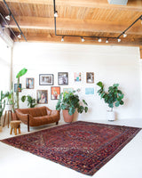 Antique Persian area rug in a living room setting, pile rug, vintage rug, portland, rug shop, bright colors, wild shaman, soft rug, bold color, Portland, Oregon, rug store, rug shop, local shop, antique rug, Persian rug, handmade rug, wool rug