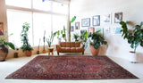 Antique Persian area rug in a living room setting, pile rug, vintage rug, portland, rug shop, bright colors, wild shaman, soft rug, bold color, Portland, Oregon, rug store, rug shop, local shop, antique rug, Persian rug, handmade rug, wool rug