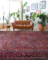 Antique Persian area rug in a living room setting, pile rug, vintage rug, portland, rug shop, bright colors, wild shaman, soft rug, bold color, Portland, Oregon, rug store, rug shop, local shop, antique rug, Persian rug, handmade rug, wool rug
