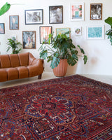 Antique Persian area rug in a living room setting, pile rug, vintage rug, portland, rug shop, bright colors, wild shaman, soft rug, bold color, Portland, Oregon, rug store, rug shop, local shop, antique rug, Persian rug, handmade rug, wool rug