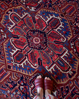 Antique Persian area rug in a living room setting, pile rug, vintage rug, portland, rug shop, bright colors, wild shaman, soft rug, bold color, Portland, Oregon, rug store, rug shop, local shop, antique rug, Persian rug, handmade rug, wool rug