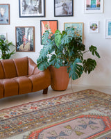 Vintage Turkish rug in living room setting, old rug, antique rug, pastel colors, faded colors, Turkish rug, vintage rug, soft rug, Portland, Oregon, rug store, rug shop, local shop