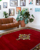 Vintage Turkish rug in a living room setting, pile rug, Turkish rug, vintage rug, portland, rug shop, bright colors, wild shaman, soft rug, bold color, Portland, Oregon, rug store, rug shop, local shop, antique rug
