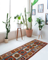 Vintage Turkish runner rug in a living room setting, pile rug, Turkish rug, vintage rug, portland, rug shop, bright colors, wild shaman, soft rug, bold color, Portland, Oregon, rug store, rug shop, local shop, antique rug