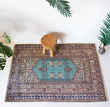 Small area rug in a living room setting, pile rug, Turkish rug, old rug, antique rug, pastel colors, faded colors, Turkish rug, vintage rug, soft rug, Portland, Oregon, rug store, rug shop, local shop, cool colors