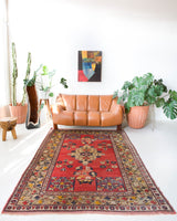 Vintage Turkish rug in a living room setting, pile rug, Turkish rug, vintage rug, portland, rug shop, bright colors, wild shaman, soft rug, bold color, Portland, Oregon, rug store, rug shop, local shop, antique rug,