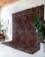 Semi-antique Bakhtiari Rug 11'x13'
