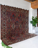 Antique Persian area rug in a living room setting, pile rug, vintage rug, portland, rug shop, bright colors, wild shaman, soft rug, bold color, Portland, Oregon, rug store, rug shop, local shop, antique rug, Persian rug, handmade rug, wool rug