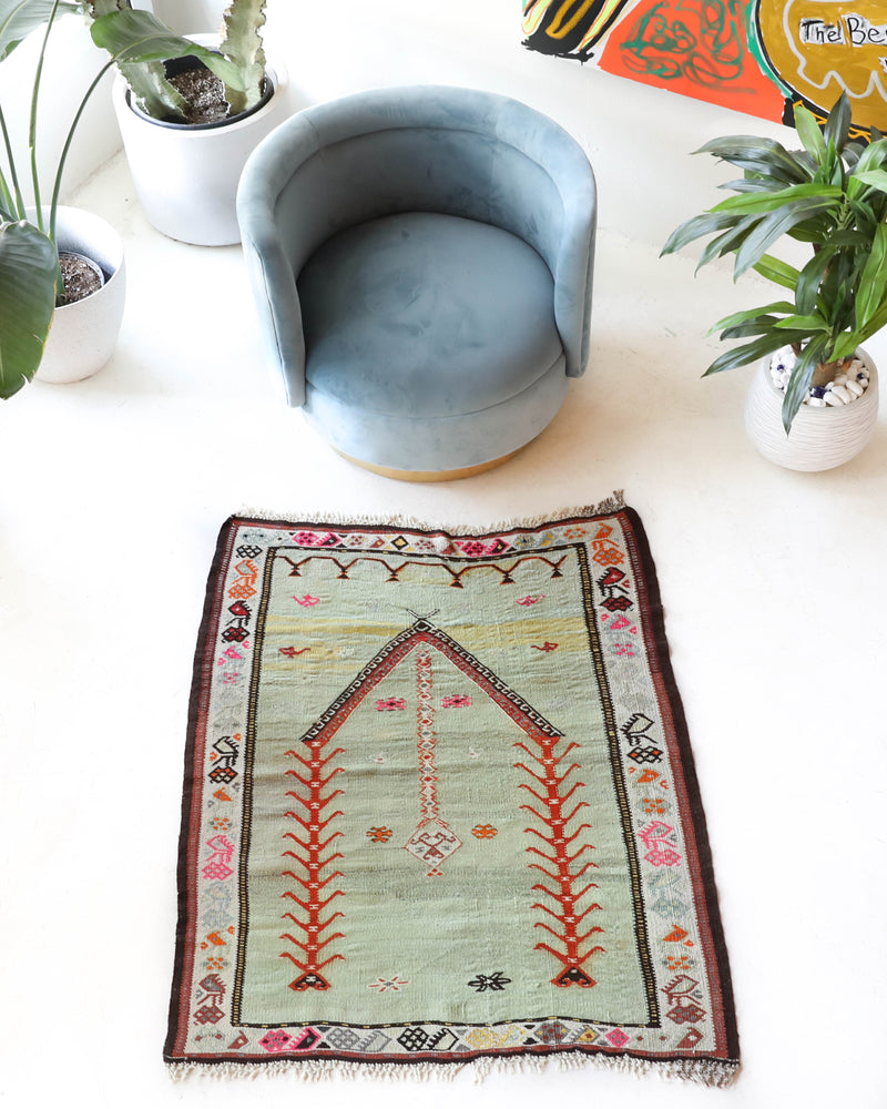 Antique Turkish rug, kilim rug, kilim, vintage rug, portland, rug shop, bright colors, wild shaman, soft rug, bold color, Portland, Oregon, rug store, rug shop, local shop, antique rug, collection piece, collector rug, handmade rug, wool rug, antique rug, pastel colors, faded colors