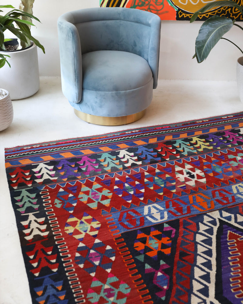 Vintage kilim rug in living room setting, bright colors, wild shaman, soft rug, bold color, Portland, Oregon, rug store, rug shop, local shop, vintage rug, modern kilim, warm colors, antique kilim rug