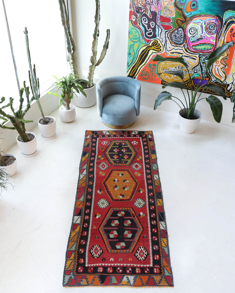 Vintage Turkish runner rug in a living room setting, pile rug, Turkish rug, vintage rug, portland, rug shop, bright colors, wild shaman, soft rug, bold color, Portland, Oregon, rug store, rug shop, local shop