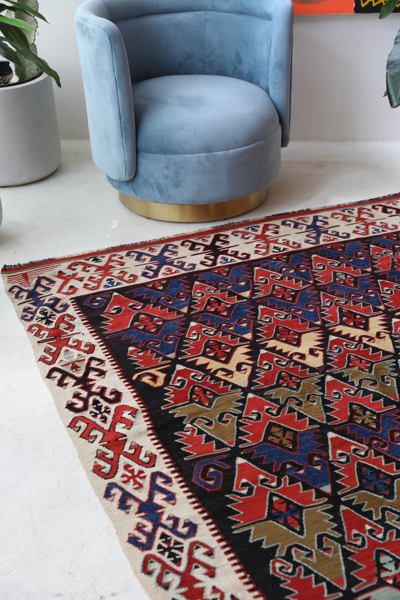 Vintage kilim rug in living room setting, bright colors, wild shaman, soft rug, bold color, Portland, Oregon, rug store, rug shop, local shop, vintage rug, modern kilim, warm colors, antique rug, antique kilim