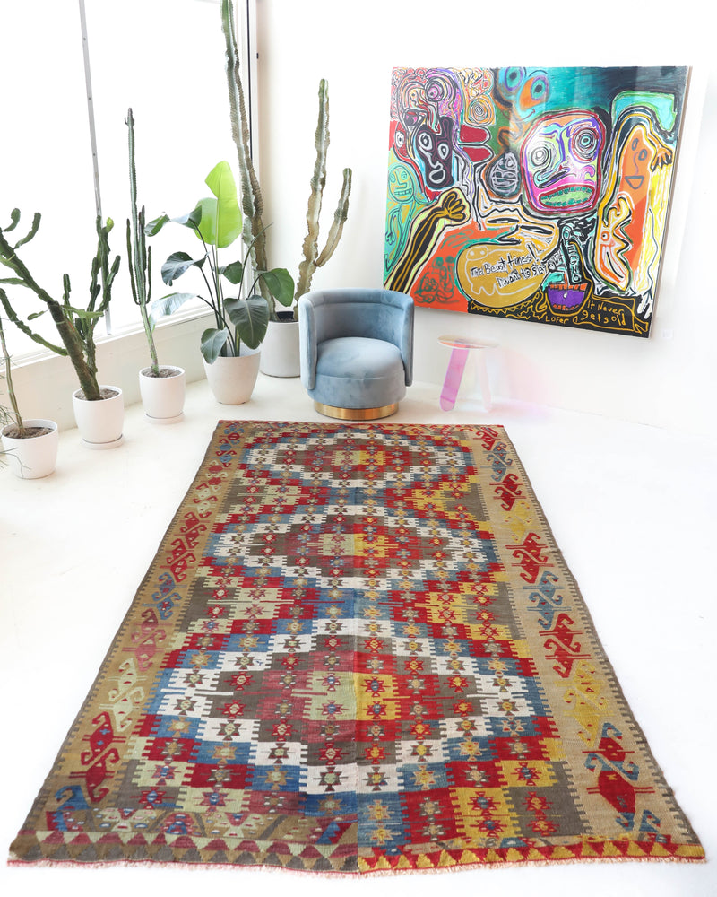 Vintage kilim rug in living room setting, bright colors, wild shaman, soft rug, bold color, Portland, Oregon, rug store, rug shop, local shop, vintage rug, modern kilim, warm colors, antique kilim rug