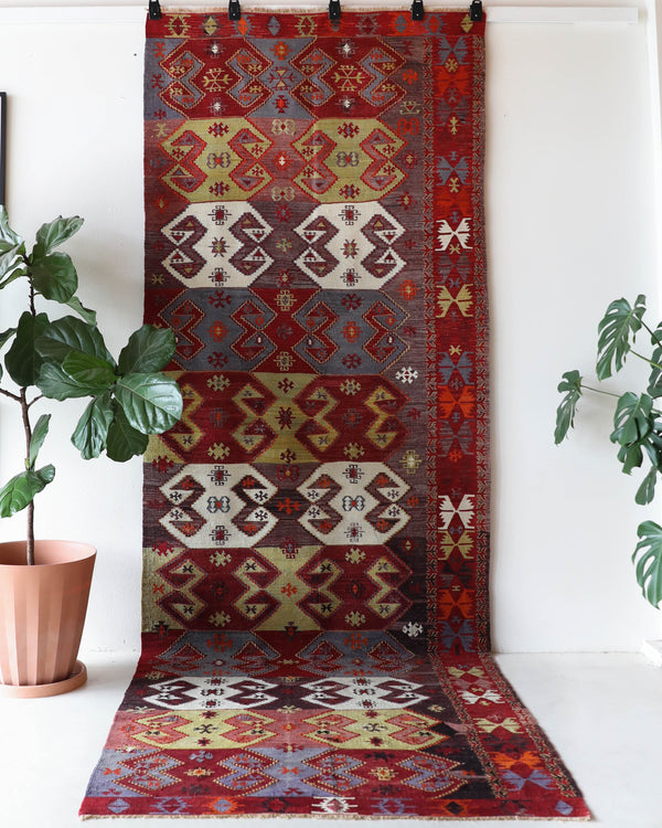 Vintage kilim rug in living room setting, bright colors, wild shaman, soft rug, bold color, Portland, Oregon, rug store, rug shop, local shop, vintage rug, modern kilim, warm colors