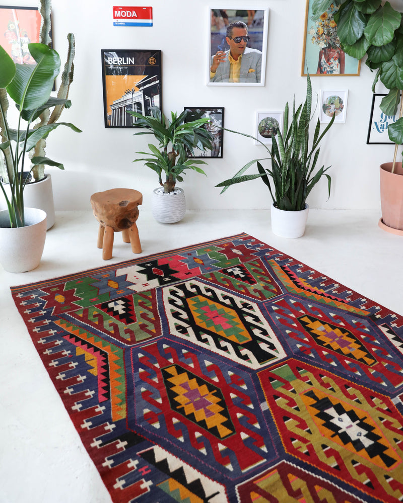 Vintage kilim rug in living room setting, bright colors, wild shaman, soft rug, bold color, Portland, Oregon, rug store, rug shop, local shop, vintage rug, modern kilim, warm colors