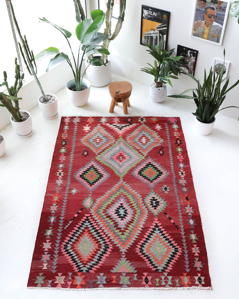  Vintage kilim rug in living room setting, old rug, antique rug, pastel colors, faded colors, Turkish rug, vintage rug, soft rug, Portland, Oregon, rug store, rug shop, local shop, earthy tones, earthy colors, warm colors