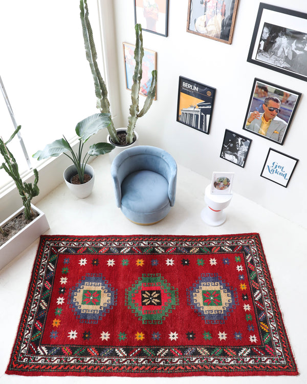 Vintage Turkish rug in a living room setting, pile rug, Turkish rug, vintage rug, portland, rug shop, bright colors, wild shaman, soft rug, bold color, Portland, Oregon, rug store, rug shop, local shop, shag rug, shaggy, plush,tulu rugs