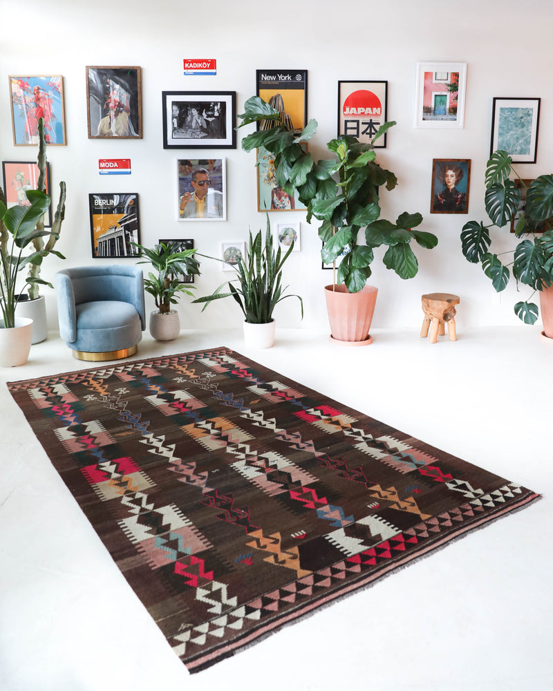 Vintage kilim rug in living room setting, bright colors, wild shaman, soft rug, bold color, Portland, Oregon, rug store, rug shop, local shop, vintage rug, modern kilim, warm colors