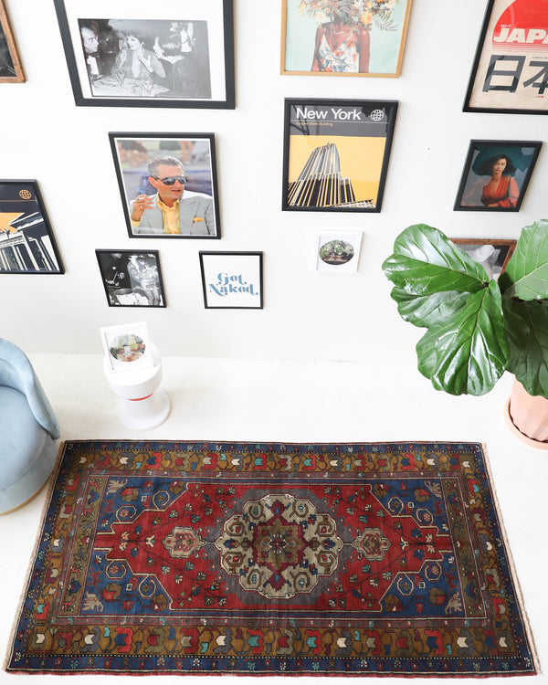 Vintage Turkish rug in a living room setting, pile rug, Turkish rug, vintage rug, portland, rug shop, bright colors, wild shaman, soft rug, bold color, Portland, Oregon, rug store, rug shop, local shop, antique rug