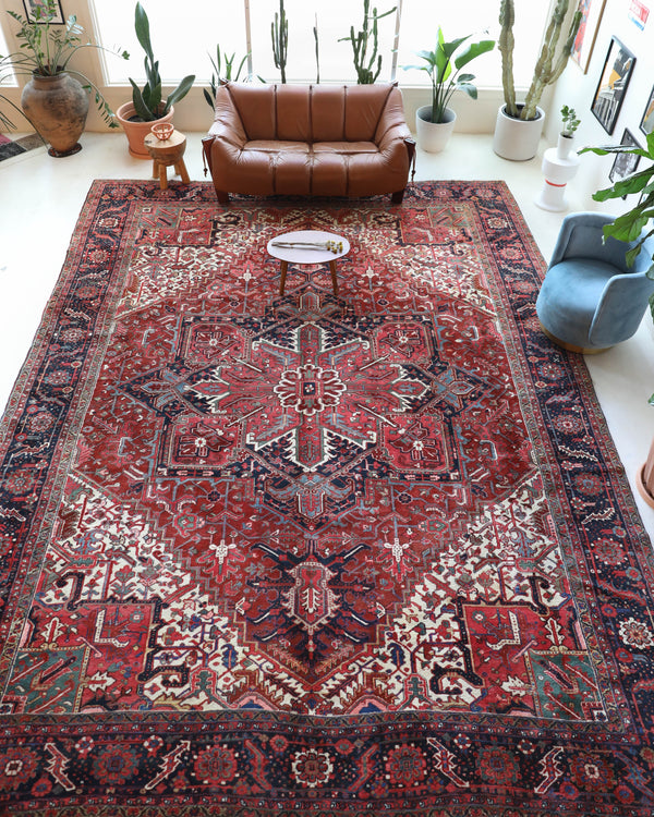 Antique Persian area rug in a living room setting, pile rug, vintage rug, portland, rug shop, bright colors, wild shaman, soft rug, bold color, Portland, Oregon, rug store, rug shop, local shop, antique rug, Persian rug, handmade rug, wool rug, distressed rug