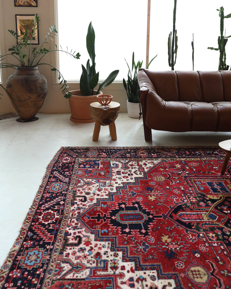 Antique Persian area rug in a living room setting, pile rug, vintage rug, portland, rug shop, bright colors, wild shaman, soft rug, bold color, Portland, Oregon, rug store, rug shop, local shop, antique rug, Persian rug, handmade rug, wool rug, distressed rug