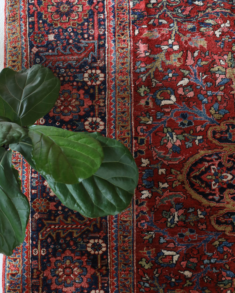 Antique Persian area rug in a living room setting, pile rug, vintage rug, portland, rug shop, bright colors, wild shaman, soft rug, bold color, Portland, Oregon, rug store, rug shop, local shop, antique rug, Persian rug, handmade rug, wool rug, distressed rug