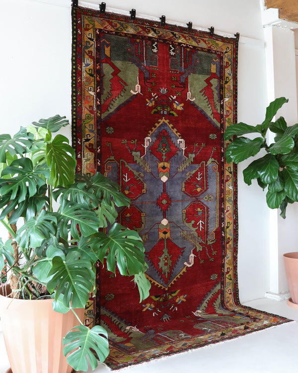 Vintage Turkish rug in a living room setting, pile rug, Turkish rug, vintage rug, portland, rug shop, bright colors, wild shaman, soft rug, bold color, Portland, Oregon, rug store, rug shop, local shop, antique rug